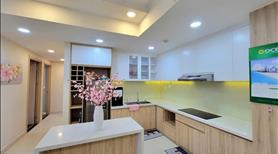 Cho thuê 3Phòng ngủ Tân Bình botanica Premier gần sân bay Tân Sơn Nhất đẹp Y HÌNH vào ngay - Ảnh 3