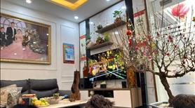 Chính chủ bán nhà Trần Phú Hà Đông kinh doanh ô tô đỗ cửa - Ảnh 3