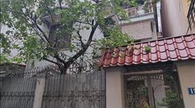 Biệt Thự Đẹp Nhất Phố Lạc Long Quân- Võ Chí Công  120m2 - 38 tỷ - Ảnh 2
