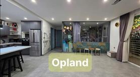 Bán căn hộ chung cư Orchard Parkview 3phòng ngủ tầng cao đẹp nhất sân bay Y HÌNH - Ảnh 4