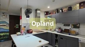 Bán căn hộ chung cư Orchard Parkview 3phòng ngủ tầng cao đẹp nhất sân bay Y HÌNH - Ảnh 3