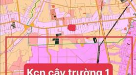Bán Đất Bàu Bàng thích hợp xây trọ hoặc đầu tư lâu dài - Ảnh 6