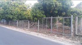 Đất vương Bình a dương chủ bán gấp để đi nhập cue nước ngoài - Ảnh 2