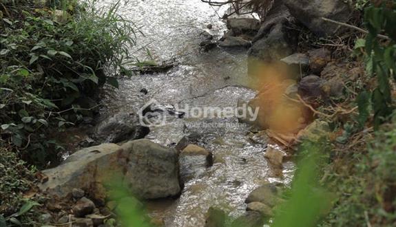 Làng Oa Bảo Lộc, đất nhà vườn 1000m2, suối tự nhiên bao quanh, đảm bảo xây dựng - Ảnh 1