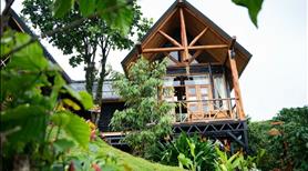 Làng Oa Bảo Lộc, đất nhà vườn 1000m2, suối tự nhiên bao quanh, đảm bảo xây dựng - Ảnh 5