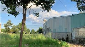 Đất TCHC Huyện Bàu Bàng,funn thổ cư giá cả hơph lí - Ảnh 3