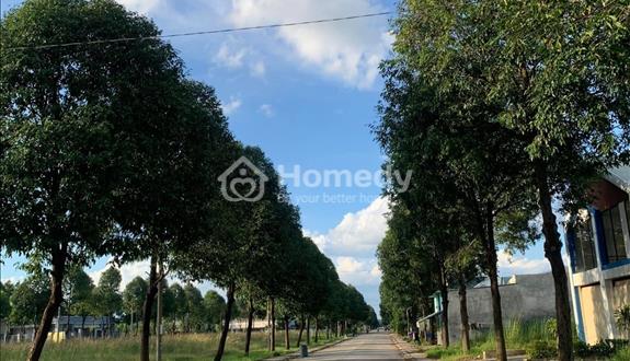 Đất TCHC Huyện Bàu Bàng,funn thổ cư giá cả hơph lí - Ảnh 1