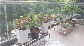 Cho thuê căn hộ pmh - q7 - garden court 1, dt: 147 m2 - 3 phòng ngủ - 2 wc - Ảnh 5