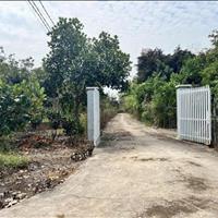  Cơ hội vàng sở hữu mảnh vườn gần sân bay Long Thành – Giá chỉ 790 triệu/sào! Đầu tư sinh lời lớn