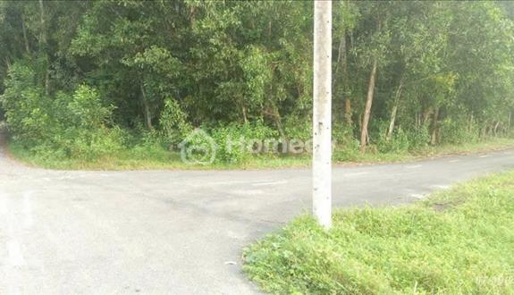 Bán 3500m2 đất sát KCN Long Đức. SHR, đường xe hơi. - Ảnh 1