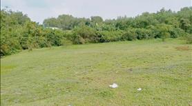 Bán 3500m2 đất sát KCN Long Đức. SHR, đường xe hơi. - Ảnh 2
