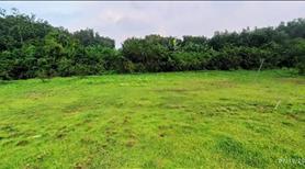 Bán 3500m2 đất sát KCN Long Đức. SHR, đường xe hơi. - Ảnh 3