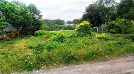 Bán 3500m2 đất sát KCN Long Đức. SHR, đường xe hơi. - Ảnh 7