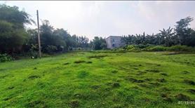 Bán 3500m2 đất sát KCN Long Đức. SHR, đường xe hơi. - Ảnh 5