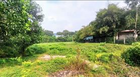 Bán 3500m2 đất sát KCN Long Đức. SHR, đường xe hơi. - Ảnh 6