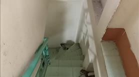 Bán nhà hẻm QL50 Phường 5 Quận 8. Nhà hẻm 1 xẹt, an ninh, gần chợ Nhị Thiên Đường - 4.6 Tỷ  - Ảnh 2