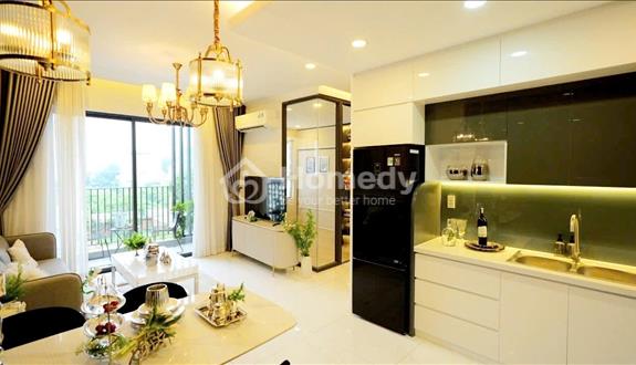 Trả trước 412 triệu sở hữu ngay căn hộ view sông The Maison tại Thủ Dầu Một, Bình Dương - Ảnh 1