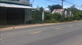 2,8tr/m2 đất Bình Dương đường nhựa 8m ngay kcn,dân cư xung quanh - Ảnh 4