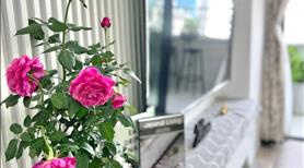 Sở hữu căn hộ biển đẹp tuyệt vời tại Mường Thanh Viễn Triều Nha Trang - Ảnh 3