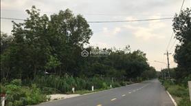Cần bán lô đất 130m2 sổ sẵn, mặt tiền kinh doanh - Ảnh 2