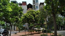 CC bán nhà 4,5 tầng, S41m2 Phân lô ô tô vỉa hè tại Khu TĐC Tu Hoàng, giá 9,x tỷ - Ảnh 2