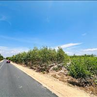 Bán 6.7 sào đất phạm thế hiển nd - tân bình - tx lagi chỉ 67 triệu/m ngang