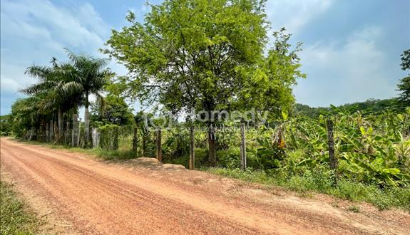 Bán 1 hoặc 2 miếng đất vườn nằm cạnh nhau bên sông Sài Gòn - mặt tiền đường 12m - có thổ cư 96 - Ảnh 1
