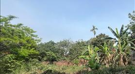 100m đầm bung phú nghĩa đường ô tô vị trí đắc địa giá chỉ 2,850tỷ - Ảnh 2