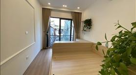 Cần bán gấp nhà siêu mẫu đẹp long lanh 50m ra mp full nội thất xịn sò về ở ngay siêu đẹp - Ảnh 3