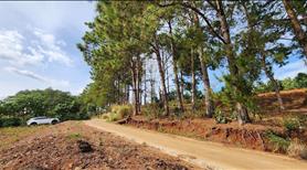 Bán Đất Nam Ban, Sẵn 200m2 Thổ Cư, Liên hệ: 0335497777 - Ảnh 5