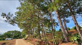 Bán Đất Nam Ban, Sẵn 200m2 Thổ Cư, Liên hệ: 0335497777 - Ảnh 3
