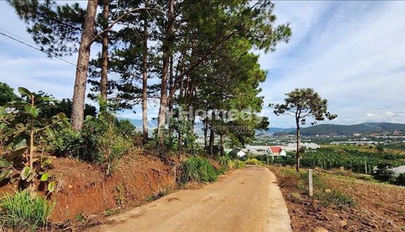 Bán Đất Nam Ban, Sẵn 200m2 Thổ Cư, Liên hệ: 0335497777 - Ảnh 1
