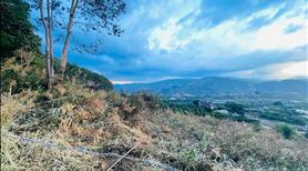 Bán Lô Đất Tâm Huyết Cách Đà Lạt Chỉ 2km, View Toàn Cảnh Xã Mê Linh - Ảnh 7