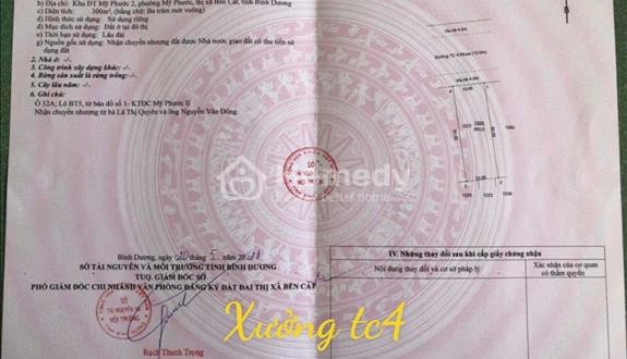 Bán 300m2 nhà xưởng đang hoạt động tại Mỹ Phước 2 - Ảnh 1