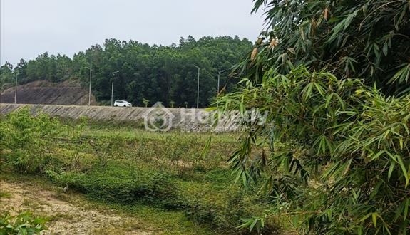 Bán lô đất vườn và lâm nghiệp.Đà Nẵng - Ảnh 1