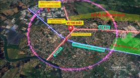 Nhà mặt tiền ĐT 821 rộng 761 m2 thổ cư, trung tâm chợ, liền kề 2 KCN Đức Hòa, Long An - Ảnh 4
