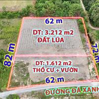 Nhà vườn 4.824 m2 đường ô tô, trung tâm huyện Đức Huệ, Long An cần bán gấp.....