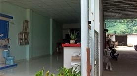 Mặt tiền khủng  GẦN KCN & KDL Chứa chan Ngang 19x51m, có 100m thổ cư - Ảnh 7