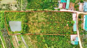 Bán 7200 m² đất Hoà Ninh, cách chợ 700m - Ảnh 9