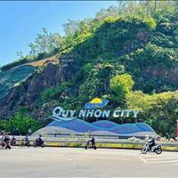 Bán nhà 3 tầng biệt thự mái thái TP Quy Nhơn