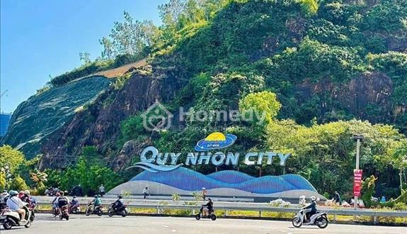 Bán nhà 3 tầng biệt thự mái thái TP Quy Nhơn - Ảnh 1