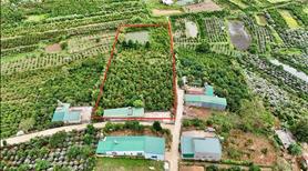 Bán 7200 m² đất Hoà Ninh, cách chợ 700m - Ảnh 5