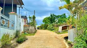 Bán 7200 m² đất Hoà Ninh, cách chợ 700m - Ảnh 3