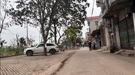 Bán đất ở cổ châu vân hà đông anh hà nội , liên hệ em ngay - Ảnh 2