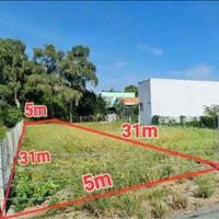 Bán Đất Chính Chủ 155m2 MT Đ. Tập Đoàn 2-  Cần Giuộc,  1TỶ5, shr,  công chứng sang tên ngay
