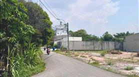 Bán Đất Chính Chủ 155m2 MT Đ. Tập Đoàn 2-  Cần Giuộc,  1TỶ5, shr,  công chứng sang tên ngay - Ảnh 3