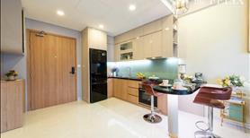 The Felix căn hộ cao cấp Thuận An - Bình Dương chính sách trả góp 3,9Triệu/tháng giá 34Triệu/m2 - Ảnh 9
