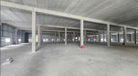 Cho Thuê Xưởng MỚI XÂY 12.000m² KCN Quang Minh - PCCC Tự Động, Trạm Điện 1000 KVA - Ảnh 7