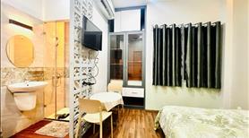 Căn Hộ Cho Thuê Ngay Nguyễn Trãi Quận 1,gần Công viên 23/9 ,bệnh viện Từ Du - Ảnh 5