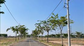 Đất nền dự án gần trung tâm hành chính cách Ql13 500m gần KCN 1km - Ảnh 4